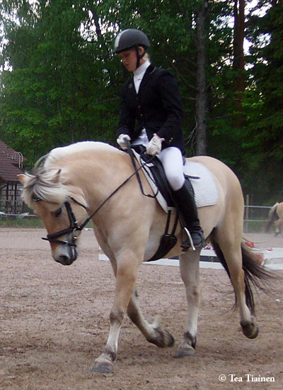 080607 Tirri Nurmijarvi