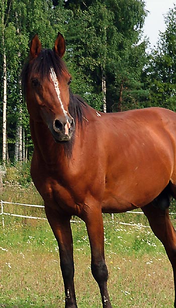 eter10