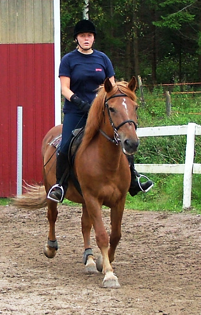 Karaatti400