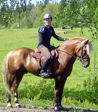 Myrsky kerava-009