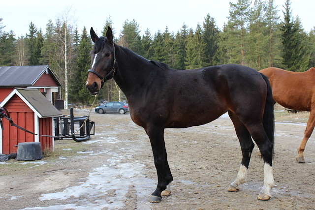 ali lola 012
