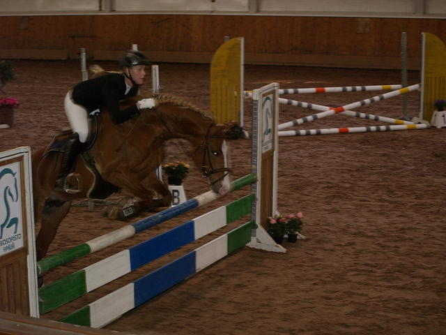 nisse este 020
