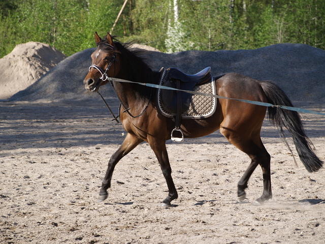 pinkki ym 002