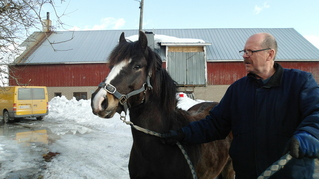 helmeri ja stara 023