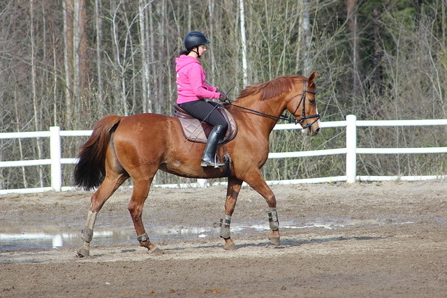 agility 112