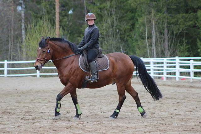 pakenvalk 127
