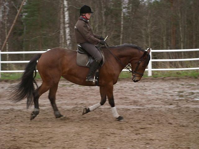 uudet hepat 005