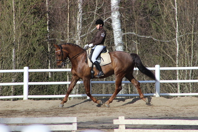 kouluk 203