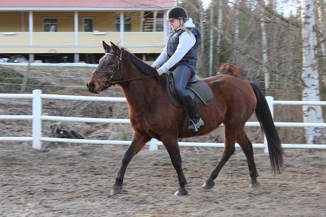 ria 091