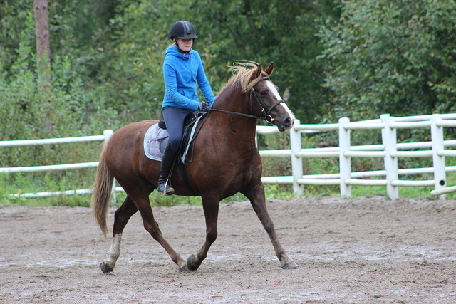 roko 125