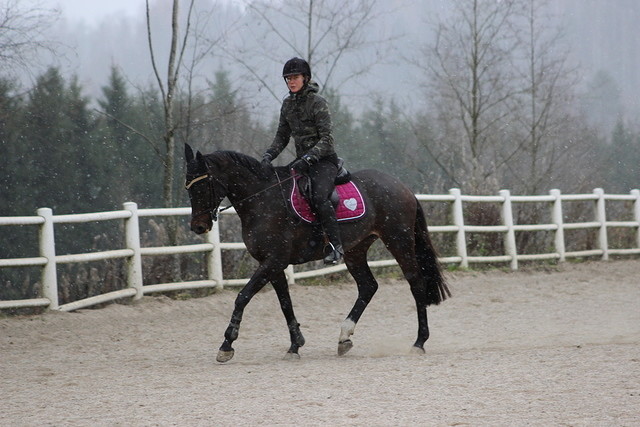 Myy lumi 001