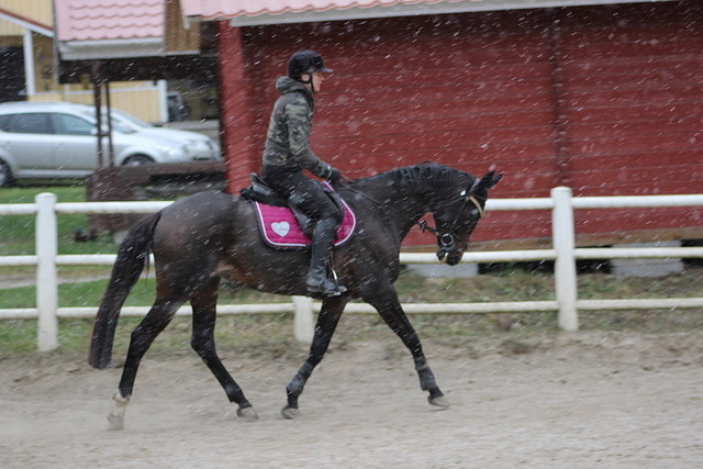 Myy lumi 023