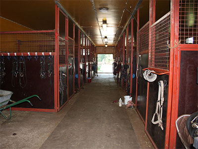 0565 talli