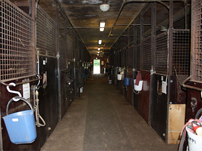 0568 talli