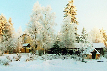 pihapiiri-talvi