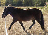 0909 donna