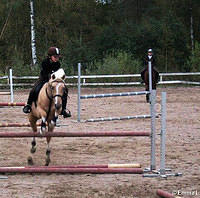 0809 doni kristanvalm