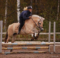 20070923 tirri 2