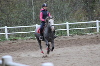 arttu 009