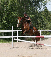 0808 halle3