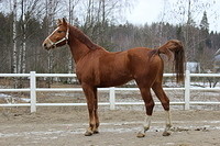 uudet kent 006