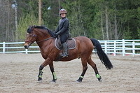 pakenvalk 127