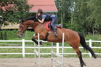 IMG 9249