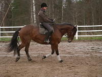 uudet hepat 005