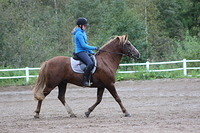 roko 133