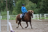 roko 143