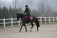 Myy lumi 001