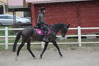 Myy lumi 023
