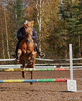20070923 trippi