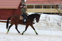 essi 038