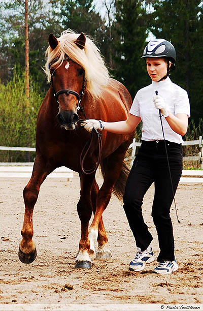 dsc_0176 myrsky.jpg