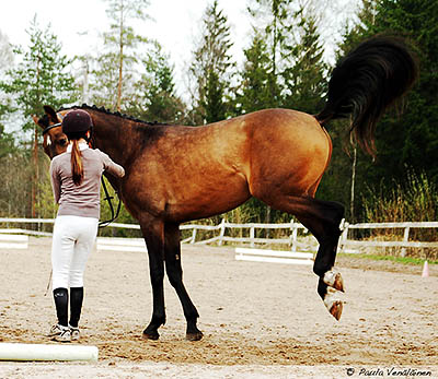dsc_0410 patu.jpg