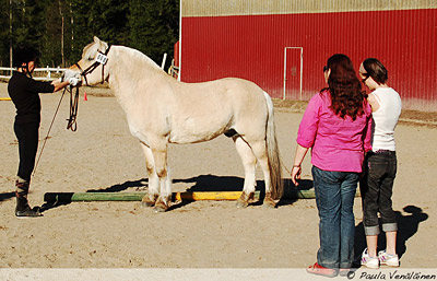 yleis_080503_9.jpg