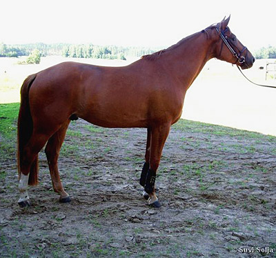 WonCigaro2007_2.jpg