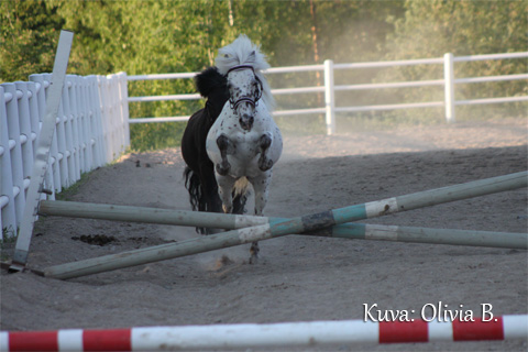 Olivia_IMG_4039.jpg