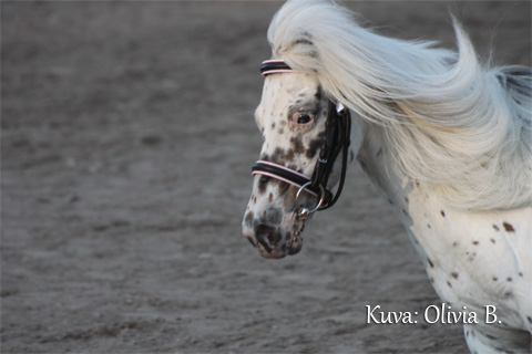 Olivia_IMG_4072.jpg